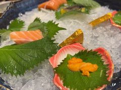 -黑松白鹿(金融街店)