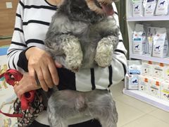 -爱侣宠医·鹦鹉专科·小型哺乳类·异宠专科(灵石路店)