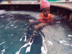 -南宫温泉水世界