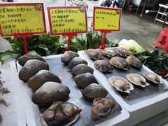 -蚝专家(北滘店)