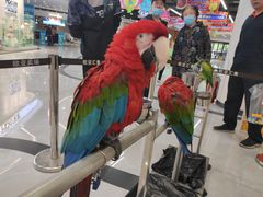 -欧亚汇集(飞跃路店)