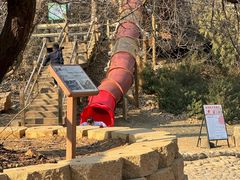 -北京西山国家森林公园