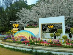 -苏州上方山国家森林公园