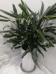 -痘博士昆明·国际祛痘领跑品牌