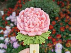 -中国翰园碑林