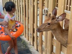 -亚马逊丛林水乐园