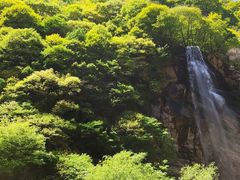 -少华山国家森林公园
