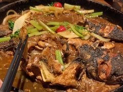 -老板恋上鱼(高新万达店)
