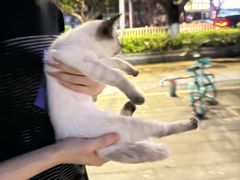 -安安宠医宠物医院·异宠·犬猫内科(岳阳分院)
