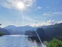 -庐山风景区花径公园