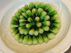 -子福慧(虹桥店)