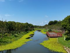 -上海海湾国家森林公园
