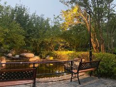 -思念果岭悦温泉