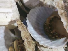 -和源祥·日照菜扛把子(万平口一店)