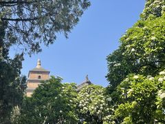 -大慈恩寺(大雁塔)