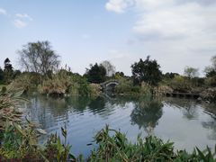 -张坝桂圆林公园