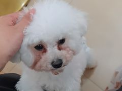 -喵宠乐园·撸猫互动·猫舍