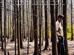 -桤木河湿地公园