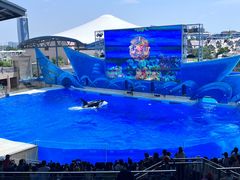 -上海海昌海洋公园-停车场