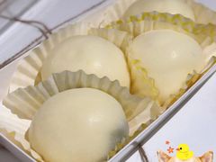 -阿左酸奶