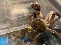 -星伦多自助料理(江阴万达店)