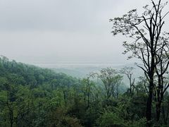 -岳麓山风景名胜区