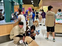 -帕帕拉兹宠物(亚洲旗舰店)