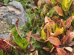 -人民公园(罗湖区)