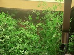 -初蓉丨遇见新川菜(亲贤街荣耀店)