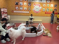 -和它·交个朋友·狗咖猫咖(爱琴海店)