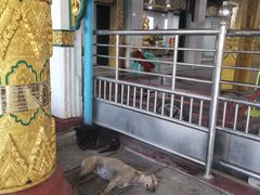 -ခြောက်ထပ်ကြီးရွှေသာလျောင်းဘုရားကြီး