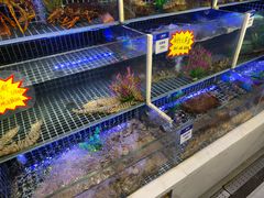 -开海·红岛海鲜虾水饺(石老人店)