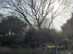 -杭州城北体育公园