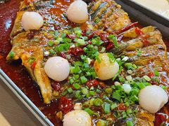 -鱼酷活鱼烤鱼(沈阳大悦城店)