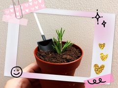 -Sweety Fairy小蜜蜂蛋糕&下午茶(大柏树店)