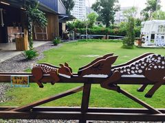-鹿境梅花鹿生态园区