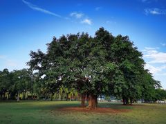 -白沙门生态公园