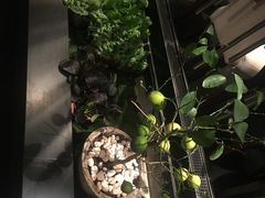 -王家渡火锅店(棕榈泉店)