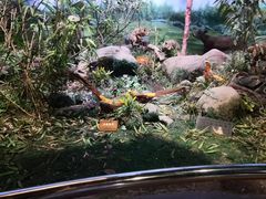 -陕西自然博物馆