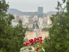 -白塔山公园