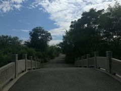 -梁鸿国家湿地公园