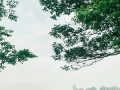 -东莞植物园