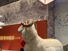 -百草滩羊清水涮羊肉·清真·宁夏盐池滩羊(莲花桥店)