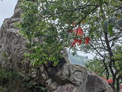 -涂山风景区