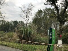 -桤木河湿地公园