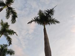 -三亚亚龙湾红树林度假酒店