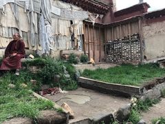 -比如骷髅墙景区