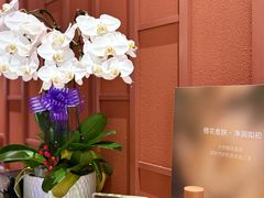 -LANN I 蘭·泰式古法按摩(上海湖滨道店)