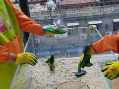 -怪兽屋·羊驼·猫咖·狗咖(俊华广场店)