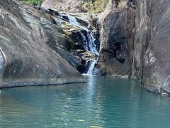 -广州白江湖森林公园